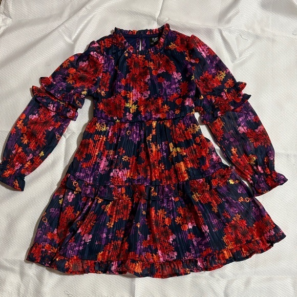 Zac Posen Other - Zac Posen Kids Floral Dress in Red and Purple